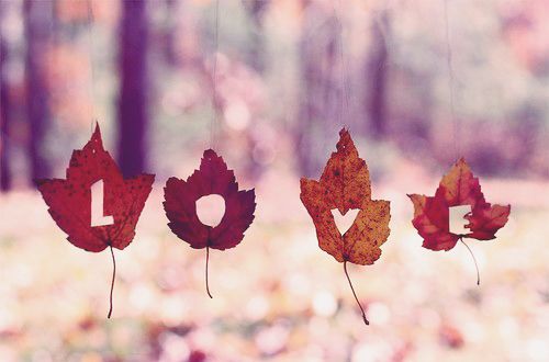 我的心不大却能盛装天..唯美小清新图片|美图