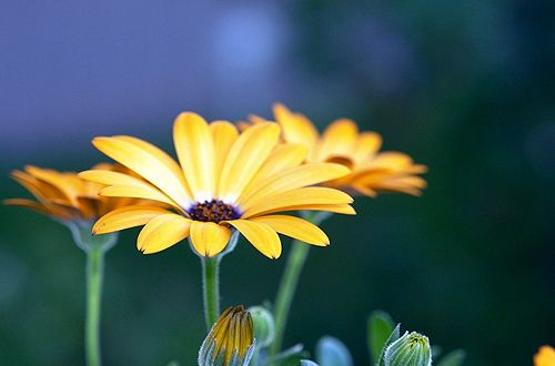 时光如此寂静安然..小清新图片_唯美图片|美图