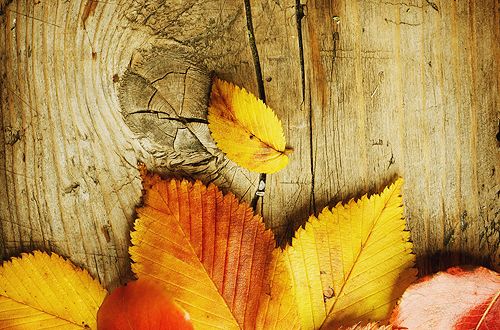 时光如此寂静安然..小清新图片_唯美图片|美图