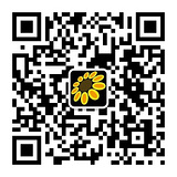 百联衣妆的二维码图片