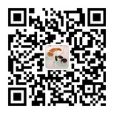 耍宝的二维码图片