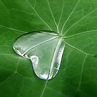 唯美头像,微博头像,QQ头像