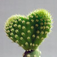 爱的头像,微信头像,QQ头像