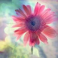 小清新头像,豆瓣头像,QQ头像