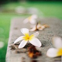 唯美头像,微博头像,QQ头像