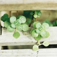 花朵头像,人人头像,QQ头像