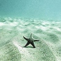 微信头像,空间头像,QQ头像