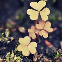 漂亮的头像,微信头像,QQ头像