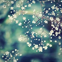 唯美头像,空间头像,QQ头像