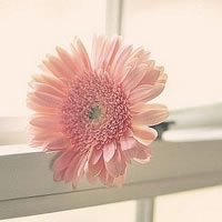 漂亮的头像,微博头像,QQ头像