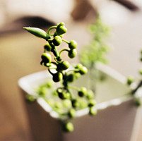 唯美头像,微博头像,QQ头像