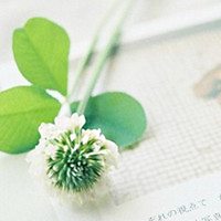 美丽的头像,微信头像,QQ头像