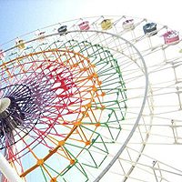 静物头像,开心网头像,QQ头像