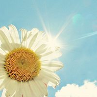 美丽的头像,微信头像,QQ头像