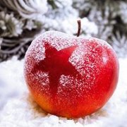 微信头像 有一种情遥望