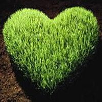 小清新头像,开心网头像,QQ头像