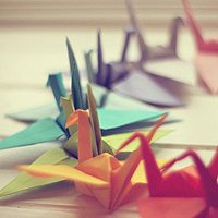 小清新头像,豆瓣头像,QQ头像