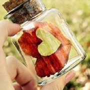 微信头像 紫色的小野花匍匐在弯