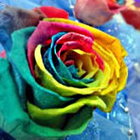 微信头像,空间头像,QQ头像