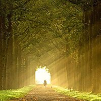 唯美头像QQ头像