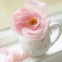 QQ小清新的唯美头像