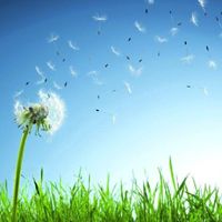 小清新头像、QQ头像