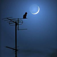 QQ头像-QQ个性签名