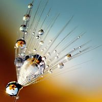 QQ小清新唯美头像