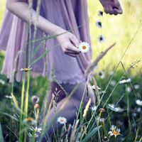 小清新头像、QQ头像