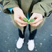 微信头像 在我懵懂不成熟时