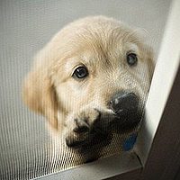 可爱头像,开心网头像,QQ头像