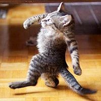 没脖子神兽头像,开心网头像,QQ头像