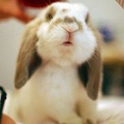 微信头像 拥有它的时候我们缺乏智慧