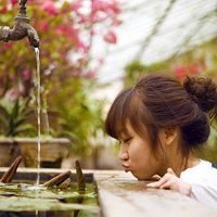 朦胧头像,开心网头像,QQ头像