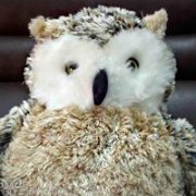 微信头像 效率就是把袜子套在手上洗内裤