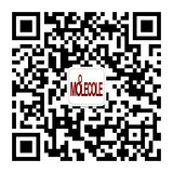  莫蕾蔻蕾官方旗舰店 