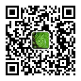 清晨的二维码图片