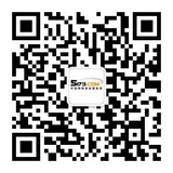 5173-网络游戏服务